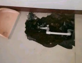 平昌卫生间测漏水多少钱